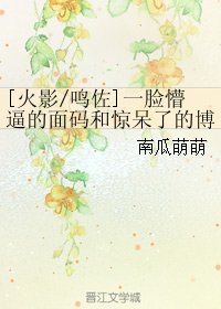 （火影同人）[火影/鸣佐]一脸懵逼的面码和惊呆了的博人