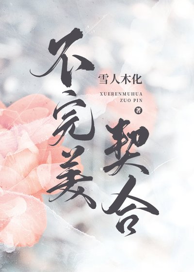 不完美契合