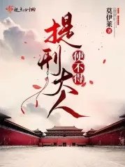 提刑大人使不得