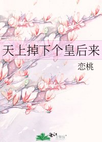 天上掉下个皇后来
