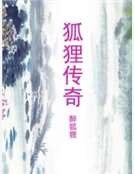 狐狸传奇